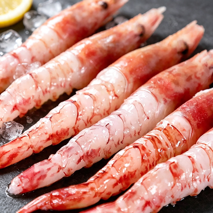 Red Shrimp